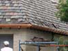 copper gutters