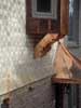 copper standing seam siding