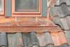 copper standing seam