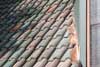 copper standing seam