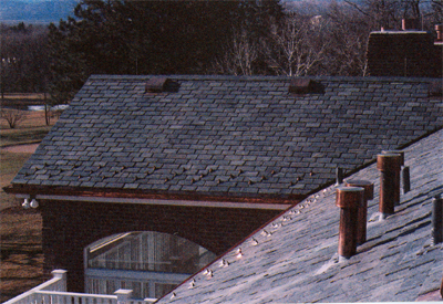 roofing denver