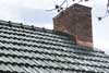 chimney cap