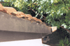 copper gutters